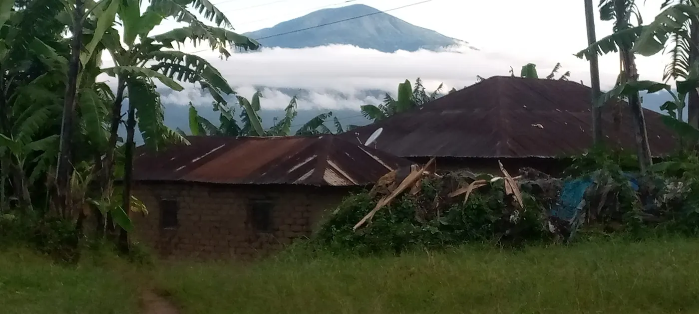 Mount Rungwe in cloud above a village of banana groves