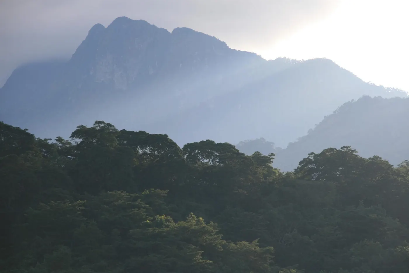 Misty Udzungwa peaks above the rainforest canopy