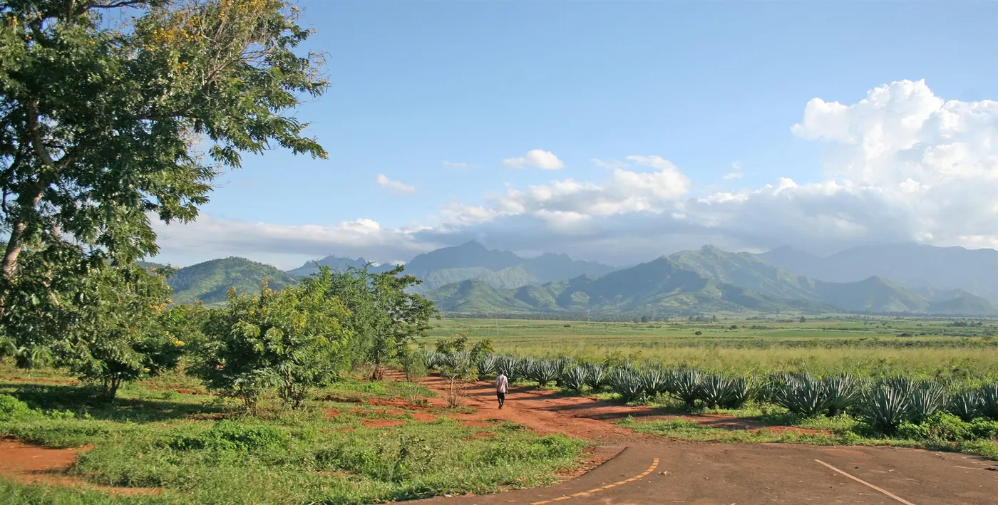 The Uluguru range on the horizon beyond farmland near Morogoro