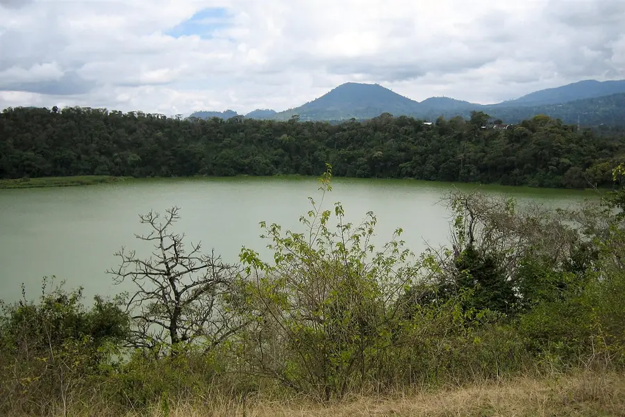 Still water at Lake Duluti ringed by dense indigenous forest near Tengeru, Arusha