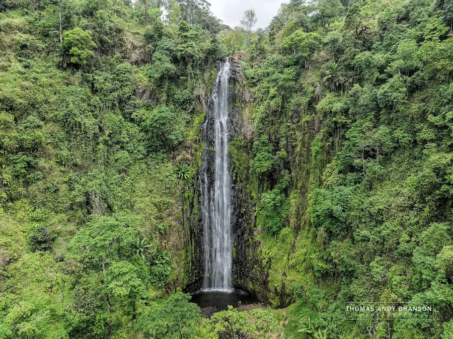 Materuni Falls dropping in a single white column through green forest on the lower slopes of Kilimanjaro