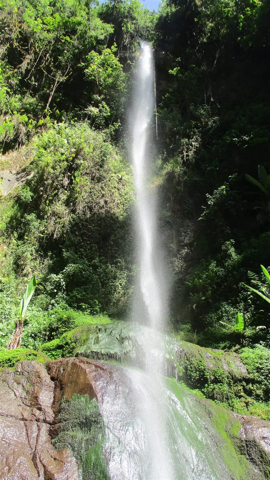 Napuru Falls spilling down a stepped rock face in montane rainforest on Mount Meru, Arusha