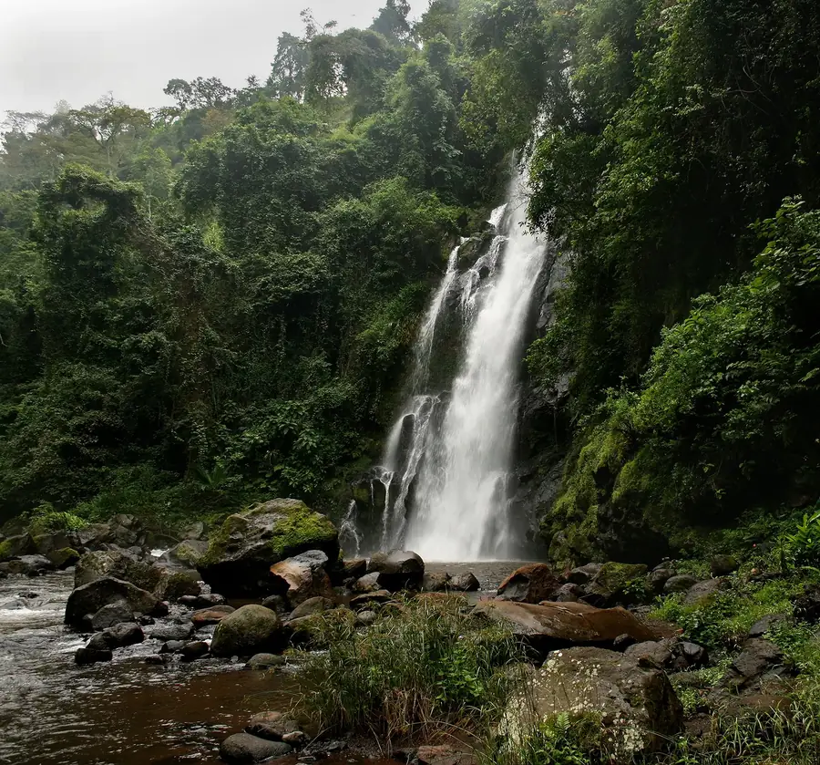 A tall waterfall at Marangu falling into a boulder-strewn stream below rainforest